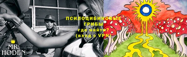 ALPHA-PVP Алексин