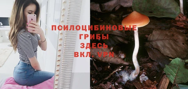 гидропоника Алексеевка
